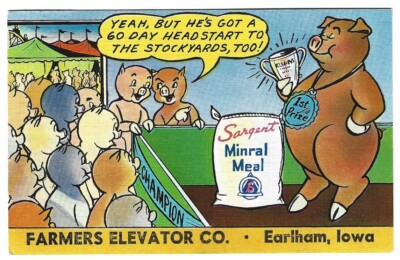 EARLHAM IA Postal Card SARGENT MINRAL MEAL Farmers Elevator Co. DES MOINES IOWA