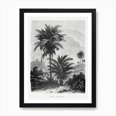 Vintage Landschaftszeichnung mit Palme gerahmt Wandbild Poster Leinwanddruck Bild