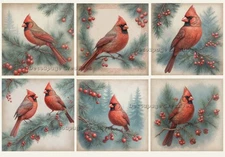 Winter Cardinal Tiles #875 | A4 Rice Paper | Paper for Decoupage