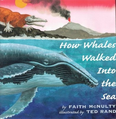 How Whales Walked into the Sea - hardcover McNulty, Faith|Lewin, Ted|Rand, T...