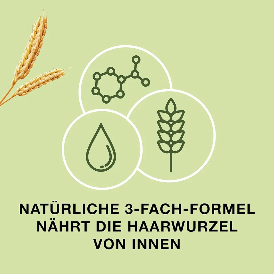 Priorin Kapseln - Haarkapseln mit Nährstoffen für die Haarwurzeln - bei - Bild 3 von 4