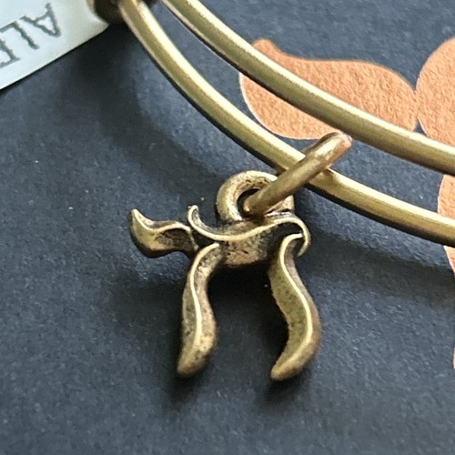 Alex and Ani "CHAI" Rafaelian Gold Life Symbol Charm Adj. Bracelet w/Card NWT - Picture 2 of 5