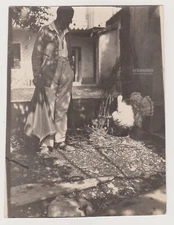 Man Meets Turkey Quiet Duel of Shadows in the Backyard Sunlight Abstract Photo