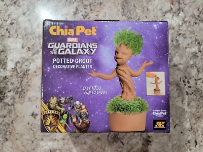 groot chia pet