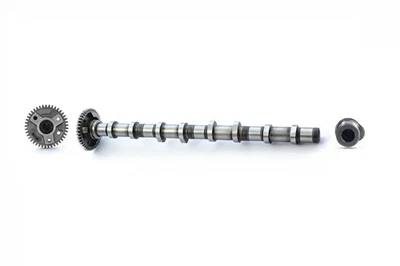 Arbre à cames Côté d'admission CS0900 BGA pour BMW 1 3 Touring 5 3 X3 5 Touring - Photo 1/4