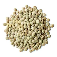 Organic Whole Green Lentils - Sproutable, Non-GMO, Kosher, Raw - by Food To Live