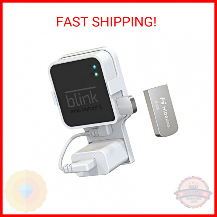 256GB USB Flash Drive and Outlet Mount for Blink Sync Module 2, Save Space and E-image