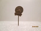 Fire Department KOZARJE Slovenia  pin 100 years