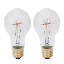 2 Nostalgic 40 Vintage Incandescent Bulbs, Warm White,7130