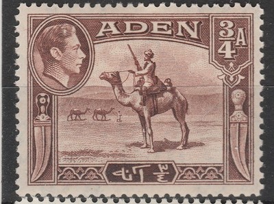 ADEN SG17 (MM) 3/4A ROTBRAUN A30P1F45031