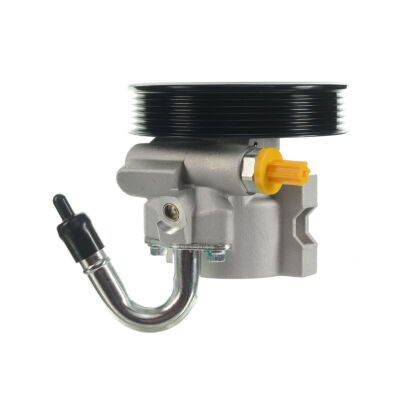 Chevrolet Aveo Pontiac G3 Wave 1.6L Power Steering Pump With Pulley  20 806 10209 1