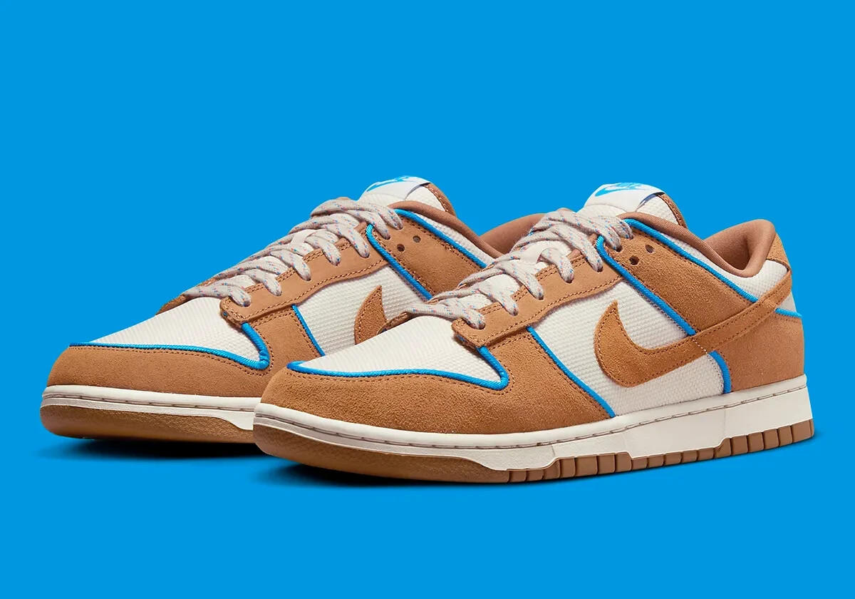 Nike Dunk Low Retro PRM Shoes 