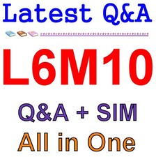 L6M10 Global Logistics Strategy Exam Q A