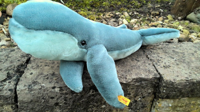 Rarität:Flauschige Steiff Wal Blauwal Mama 063695 48cm groß NEU & unbespielt! 