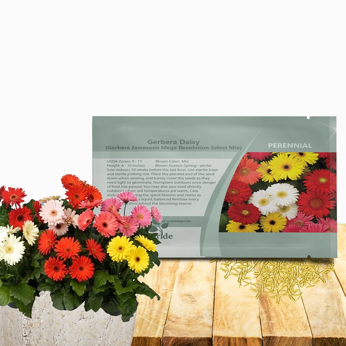 plant fertilizer liquid Pothos Plant Food – Enriched, Bioavailable Liquid Fertilizer main image 1
