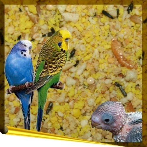 BIRDSANDMORE Complet Budgie 5kg trockenes Eifutter für Wellensittiche Vögel Aufzuchtfutter