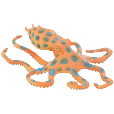  Blue Ring Octopus -Modell Kind Baby Künstliches Blauring-Oktopus-Modell