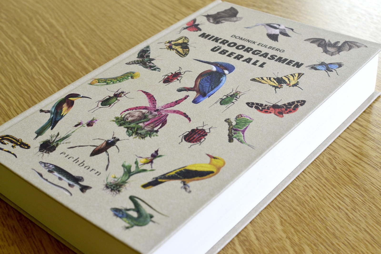 Thumbnail - Mikroorgasmen Überall, Dominik Eulberg