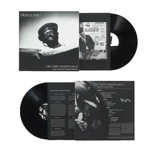 D.J. DAVE Gangsta's Paradise Vinyl Record Hard Mix Reggae Edit