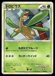 Tropius 004/019 Steelix Constructed Standard Deck Japanese Pokemon TCG
