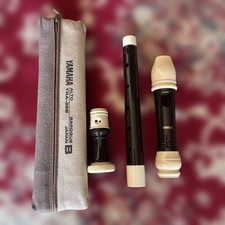YAMAHA AlRecorder YRA36B Case