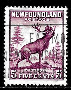 HICK GIRL-OLD  USED NEWFOUNDLAND SC#191   CARIBOU      X3848