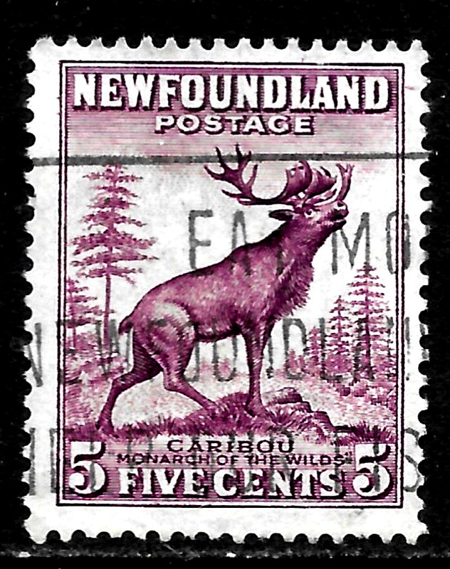 HICK GIRL-OLD  USED NEWFOUNDLAND SC#191   CARIBOU      X3848