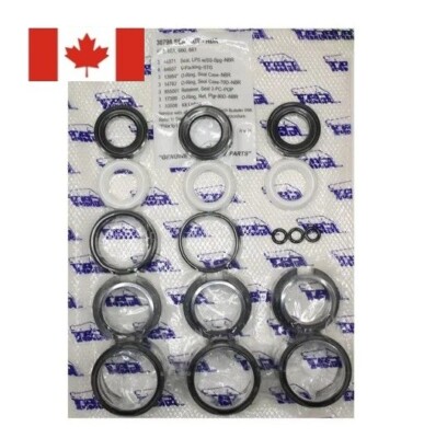 30798 Seal Kit Genuine OEM for Cat Pumps 650, 651, 660, 661