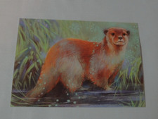 1x Postkarten OTTER Botman 10,5x 15 cm Kunst (A2) Tiere Fischotter
