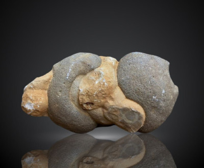 1315Gr Genuie Gogotte Sandstone Concretion Stone Rough Mineral Specimen