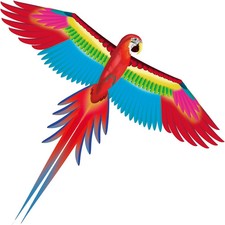 Vibrant 60" Parrot Kite for Kids  Adults - Perfect for Outdoor Adventures 