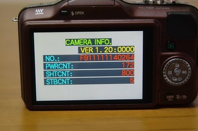 Panasonic LUMIX GF3 Digital Camera Body Brown with 9mm f8 Olympus