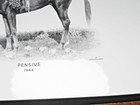 11 X 14-Original 1944 Kentucky Derby Winner "Pensive" Caufield & Shook, Inc. — photo 2