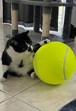 Giant Tennis Ball 9.5" Signature Big Tennis Ball for Children Adults Dog Cat