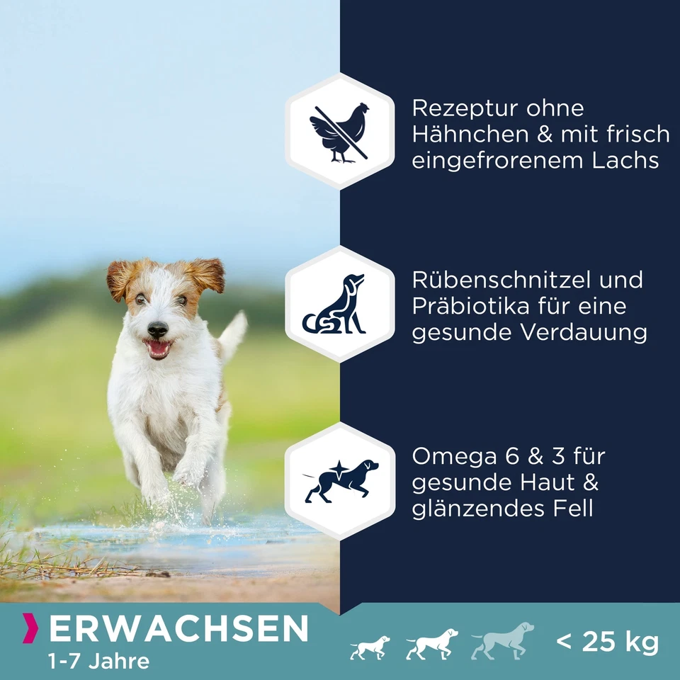 Hundefutter getreidefrei mit Fisch für kleine und mittelgroße Rassen - Trocke... - Bild 3 von 4