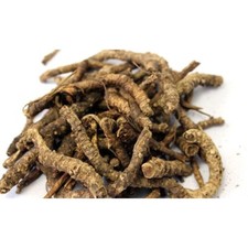 Kutki Root and Powder - Katuki - Kutaki- Picrorhiza Kurroa
