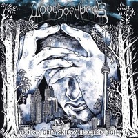 Audio Cd - Woods Of Ypres - Woods 5: Grey Skies & Electric Light - Earache -D-