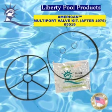  MULTIPORT VALVE KIT AFTER 1976 BY LIBERTY SEALS 65019 FOR AMERICAN™ 