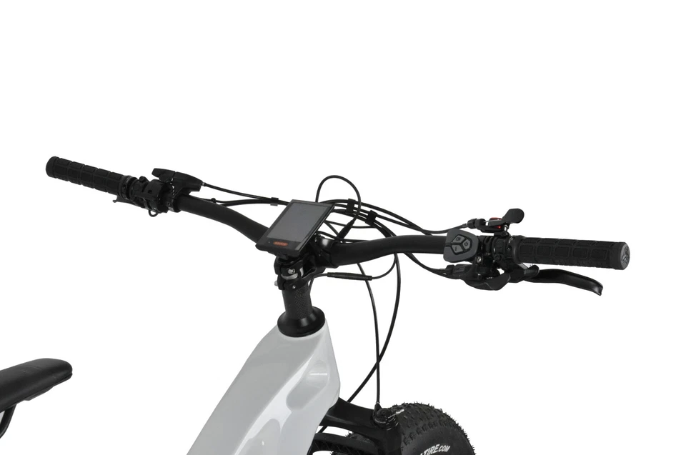 Bicicleta Eléctrica 19" Dengfu E56 Carbono Grasa Bicicleta Ebike M620 1040wh 10S Foto 3 de 4