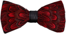 Secdtie Novelty Feather Bow Tie for Men Handmade Pre-Tied Bowtie with Gift BOX