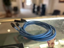 Wireworld Oasis 8 Balanced  XLR 2M Pair Audible Elegance Cincinnati