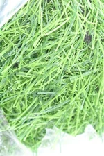 Fasmov Green Artificial Grass Carpet Rug 3.2' x 6.5' Indoor Outdoor Landscape