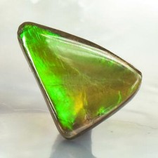 Ammolite Ammonite 1.92 g Rare Gemstone Cabochon Canada 17.91 x 14.02 x 4.35 mm