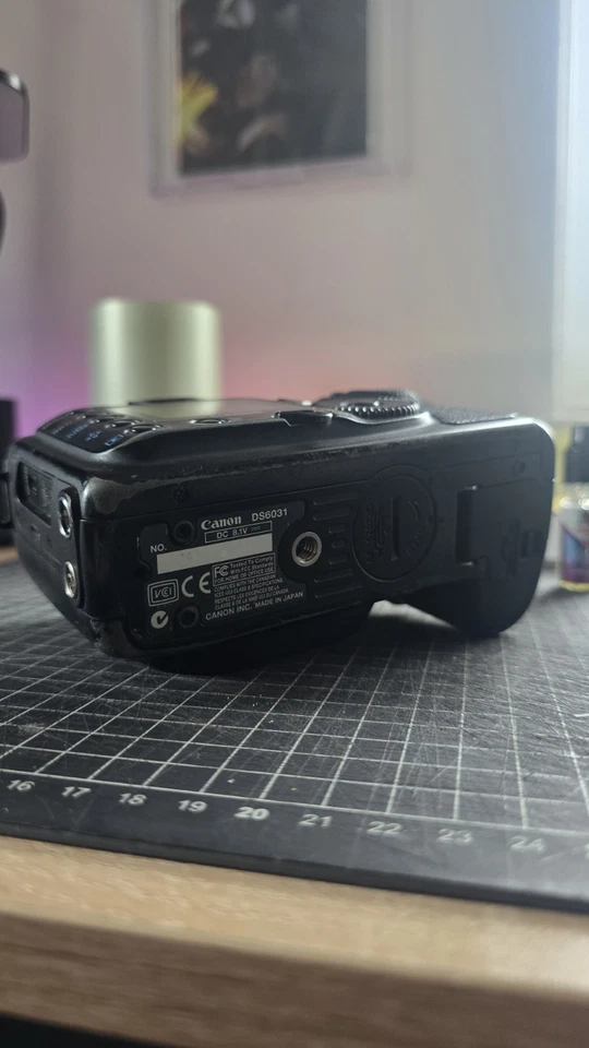 Canon EOS 10D, photo 4 of 5
