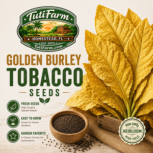 dried tobacco leaves for sale near me Hot Skull Fronto Leaf Fronto / Single Leaf Guatemalan heritage tobacco leaf for