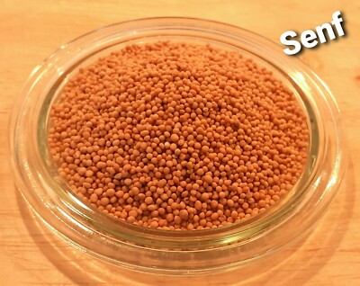 Senf Gelbsenf Saatgut 500 g Grndngung Zwischenfrucht Weisenf Senfsaat  Krner | eBay.de