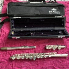 Roy Benson FL-202E Student Series Flute wind instrument case and bag