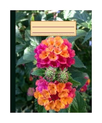Tropical Pink & Orange Flowers Composition Notebook: Gardener's 160 Page Softcov