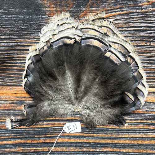Mini Wild turkey Tail feathers plume art fan Bustle Fly Tying Craft Mount Voodoo