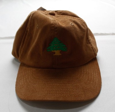 Beechfield Unisex Adult's Adjustable Tree Logo Corduroy Hat WR4 Brown One Size
